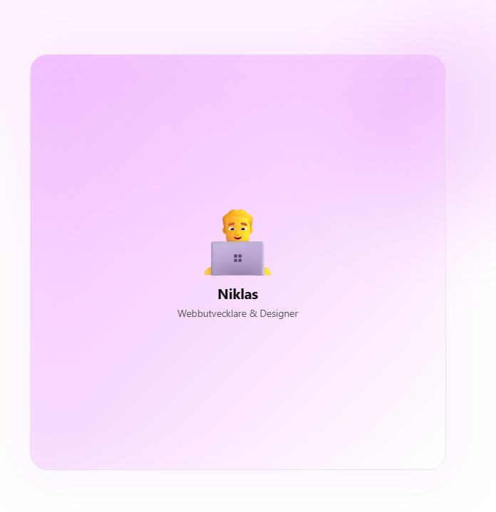 Niklas Web Solutions - Workspace